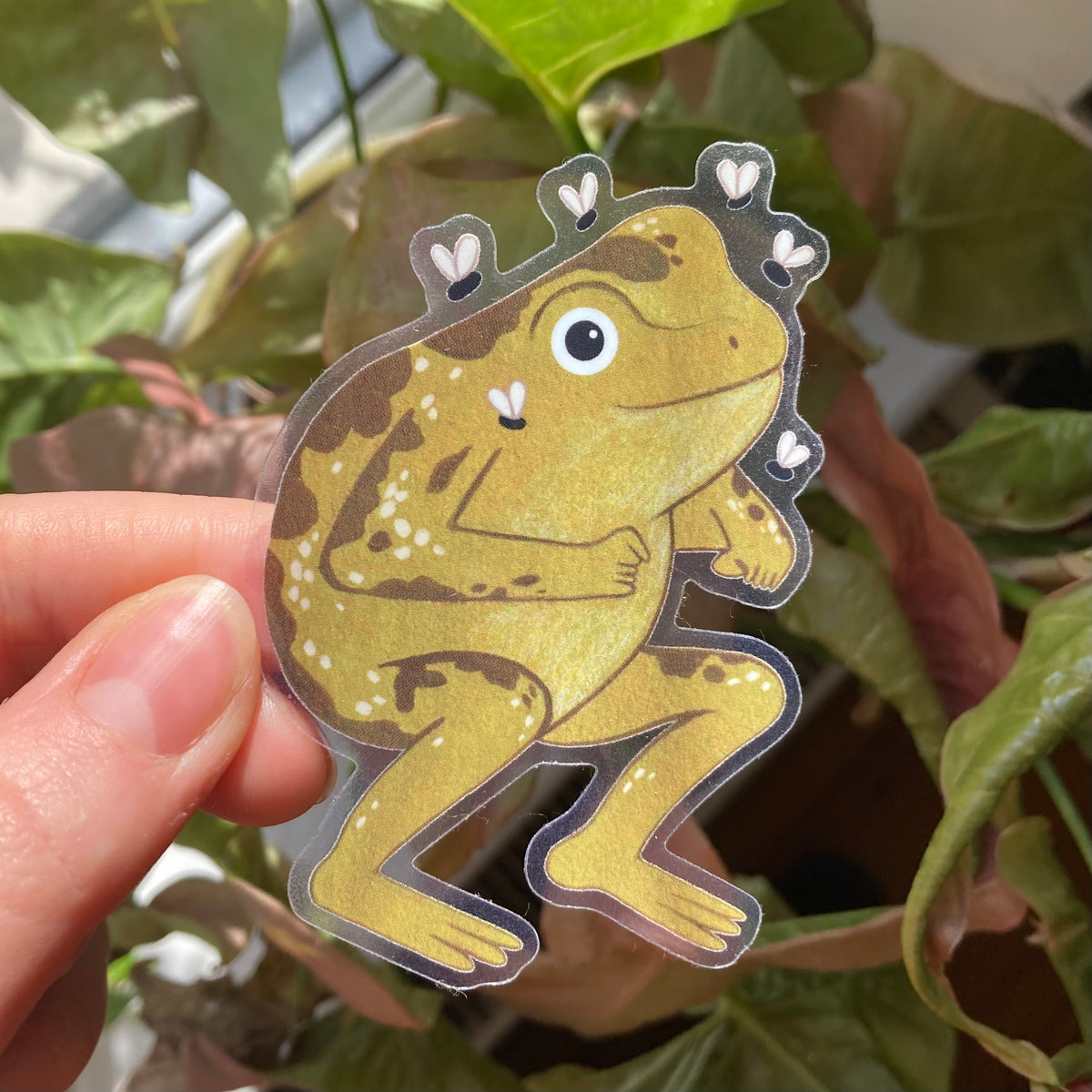 Sticker Frog With Fly 