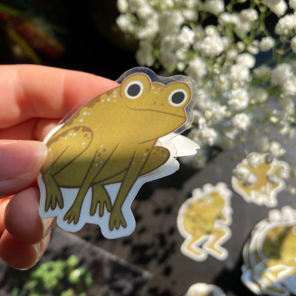 Frog Sticker