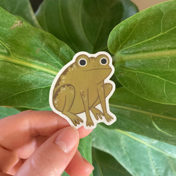Frog Sticker